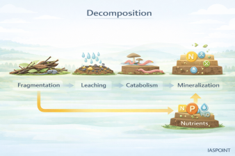 Decomposition