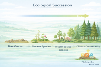 Ecological Succession