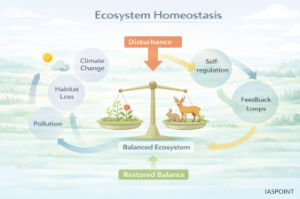 Ecosystem Homeostasis