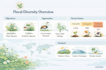 Floral Diversity Overview