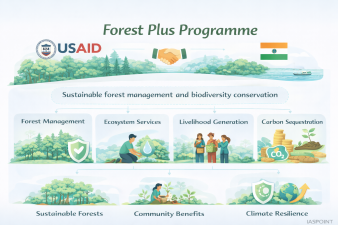 Forest Plus Programme