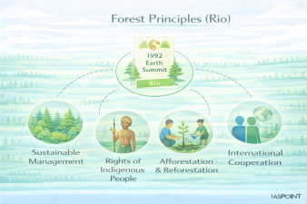 Forest Principles (Rio)