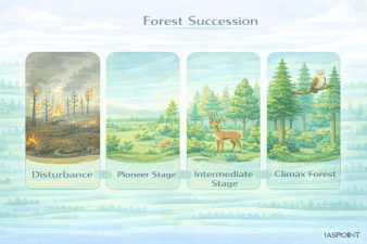 Forest Succession