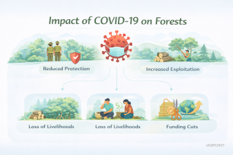 Impact of COVID-19 on Forests
