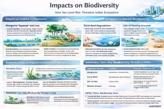 Impacts on Biodiversity