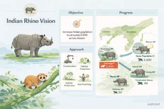 Indian Rhino Vision