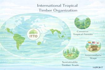 International Tropical Timber Organization