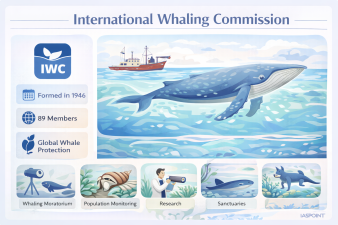 International Whaling Commission