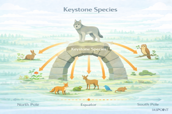 Keystone Species