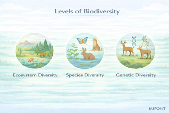 Levels of Biodiversity