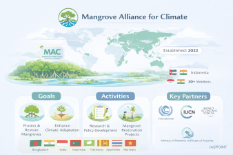 Mangrove Alliance for Climate