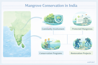 Mangrove Conservation in India