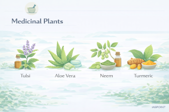 Medicinal Plants