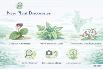 New Plant Discoveries