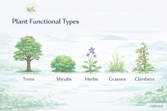 Plant Functional Types