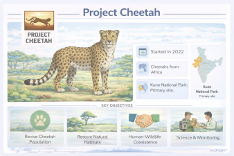 Project Cheetah