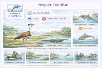 Project Dolphin