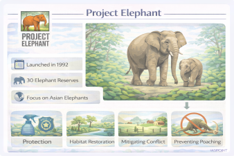 Project Elephant