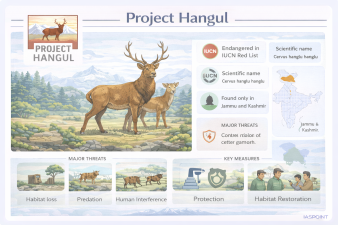 Project Hangul