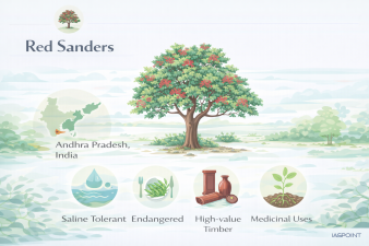 Red Sanders