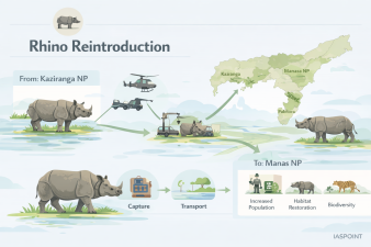 Rhino Reintroduction