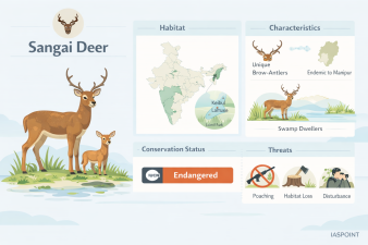 Sangai Deer