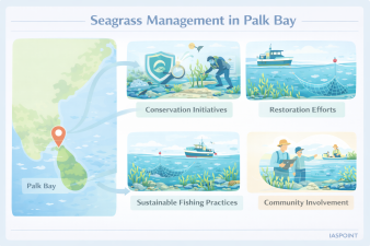 Seagrass Management in Palk Bay