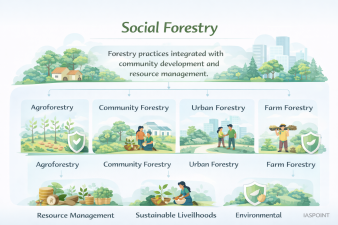 Social Forestry