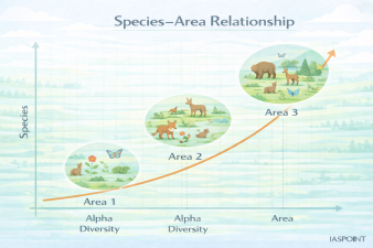 Species–Area Relationship