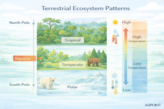 Terrestrial Ecosystem Patterns