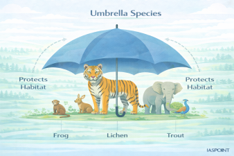 Umbrella Species