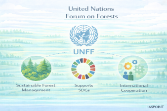 United Nations Forum on Forests