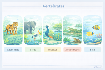 Vertebrates