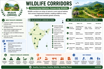 Wildlife Corridors