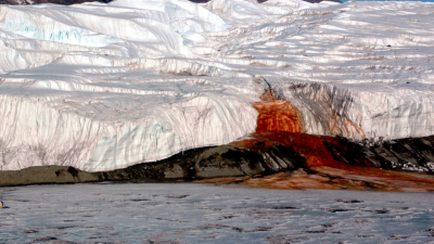 Antarctica’s Enigmatic Phenomenon