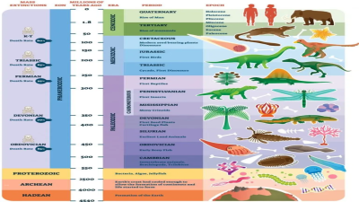 Anthropocene Epoch