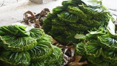 Authoor Betel Leaves Received GI Tags