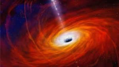 Black Holes