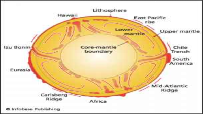 Convective Material Circulation of Earth’s Mantle