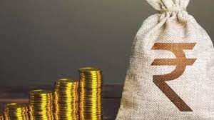 India’s Sovereign Debt Crisis and Household Involvement