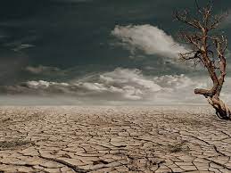 Water deficit desert