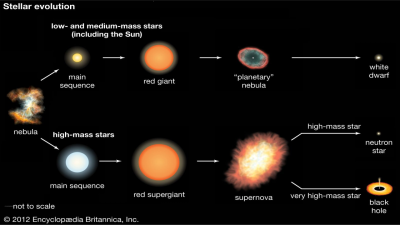 Factors Influencing Evolution of Stars