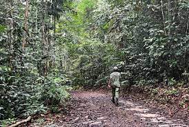 Africa’s first debt-for-nature swap