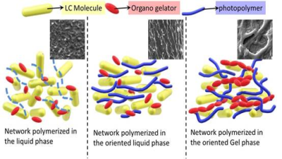 Hierarchical Double Networks of Polymers
