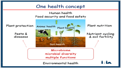 Incorporating Soil Microbiomes into the One Health Framework