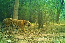 Kawal Tiger Reserve