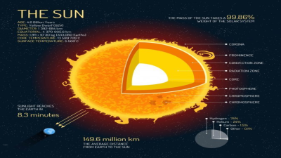 Mass and Composition of Sun