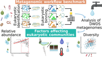 Metagenomes