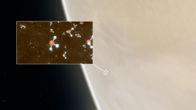 Phosphine in Venus