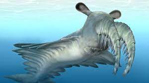 Lokotunjailurus chinsamyae and Dinofelis werdelini